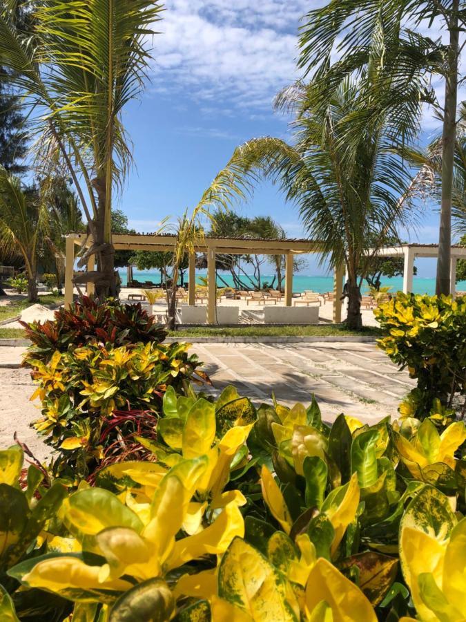 Jambo Beach Hotel Paje Bagian luar foto
